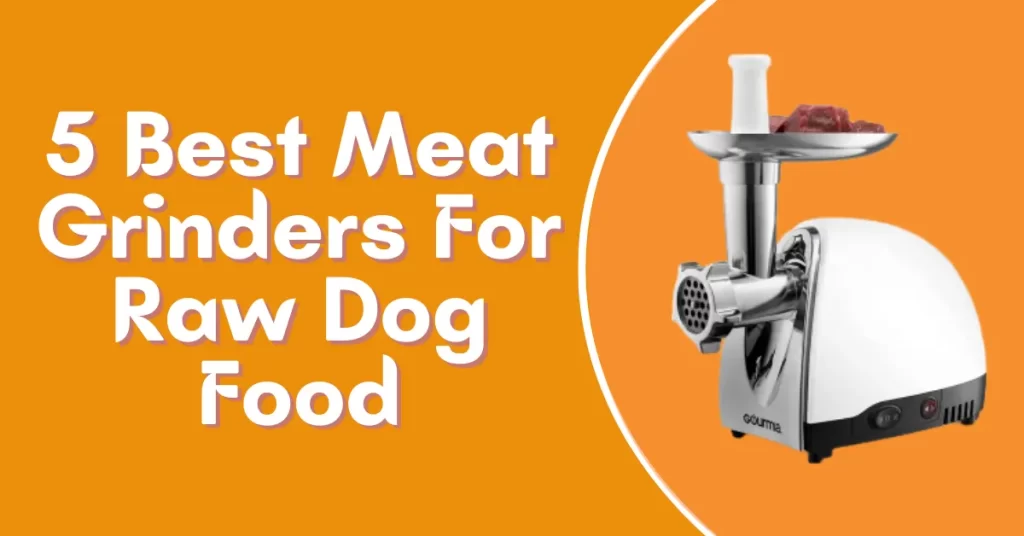 Best Meat Grinders for Raw Dog Food
